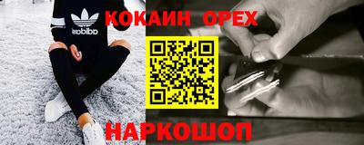 мет Кингисепп