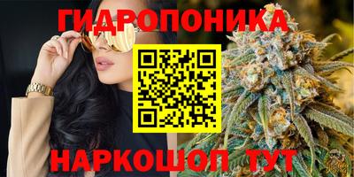 мет Кингисепп