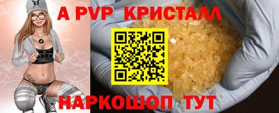 мет Кингисепп