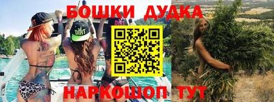 мет Кингисепп