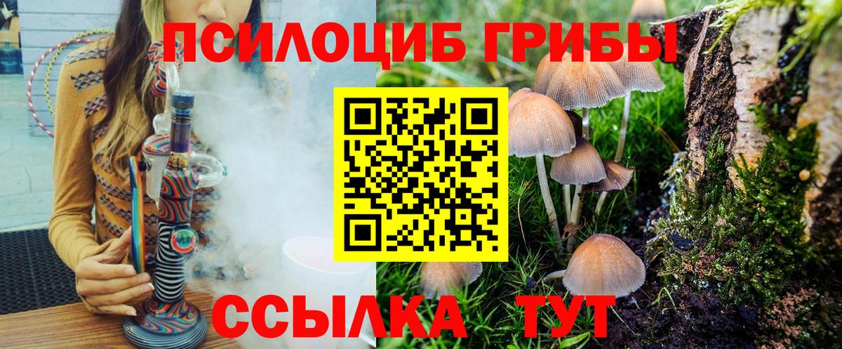 Галлюциногенные грибы GOLDEN TEACHER  Вход с VPN  Дзержинский 